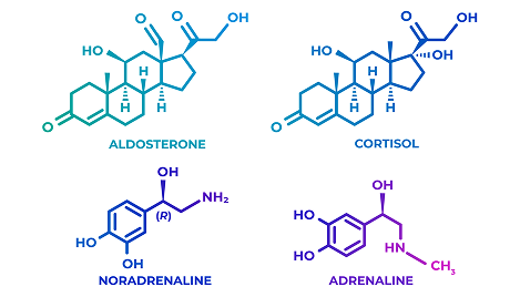 Research & Development